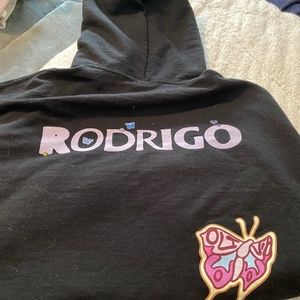 Olivia Rodrigo “sour tour” hoodie